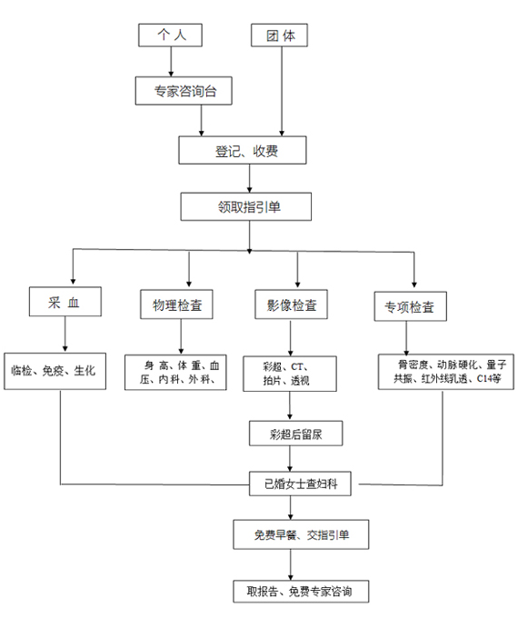 体检流程示意图.jpg